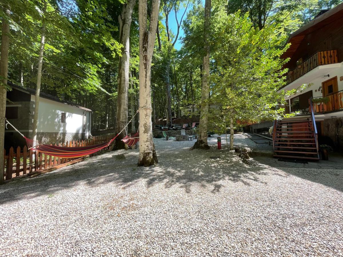 Chalet I Folletti Apartamento Abbadia San Salvator Exterior foto