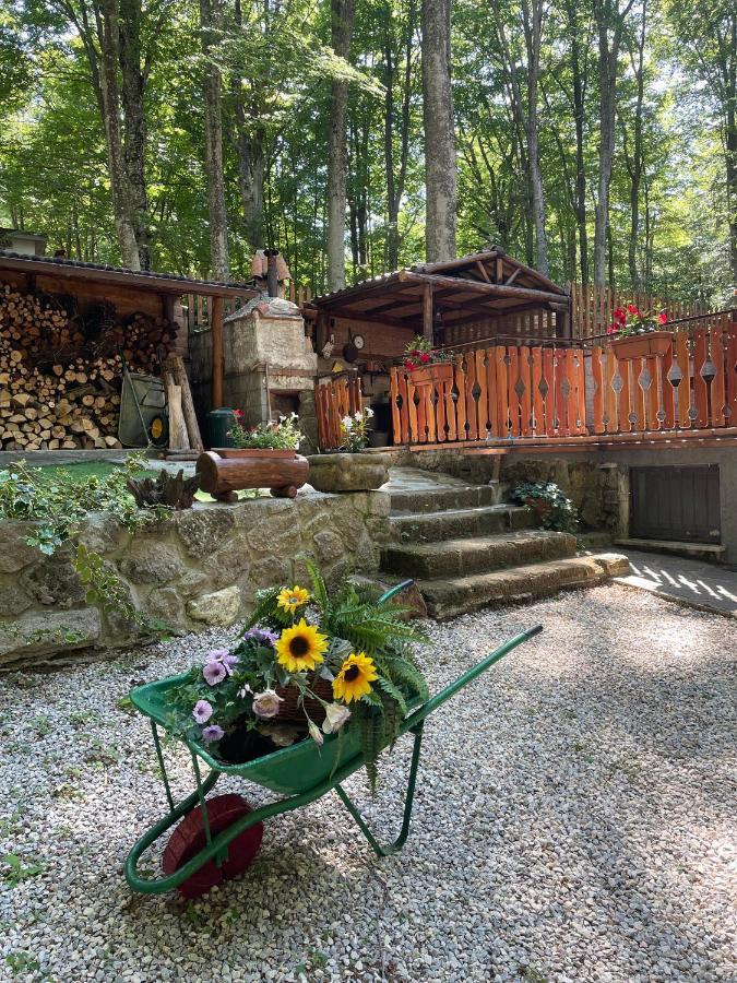 Chalet I Folletti Apartamento Abbadia San Salvator Exterior foto